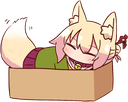 Shiggy_BoxSleep